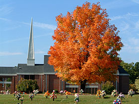 Open Album: Fall Photos