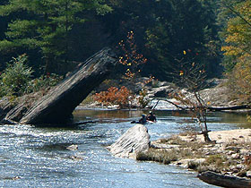 Open Album: Chattooga Wild and Scenic River Photos