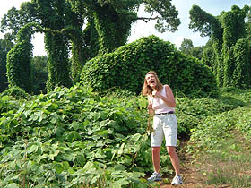 Open Album: Sabines visit, June 2004