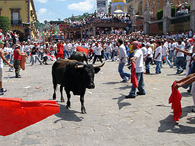 Open Album: Sanmiguelada